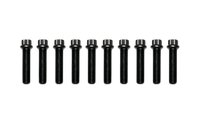 Wilwood 230-15369 - Wilwood 1/2-20 in. Wheel Stud Set